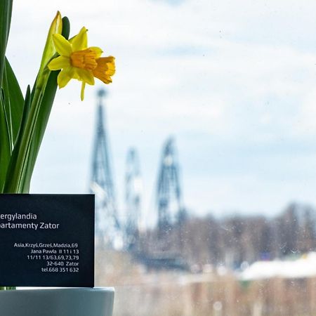 Energylandia Zator Apartament Grzes 외부 사진